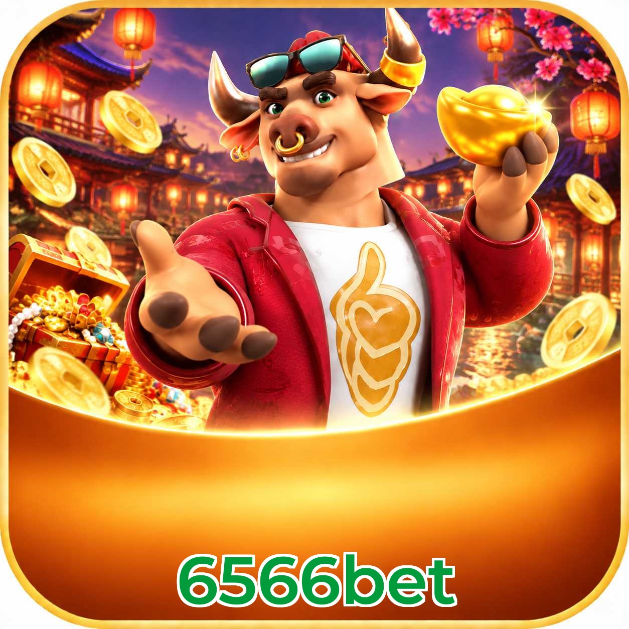6566bet App vs Web