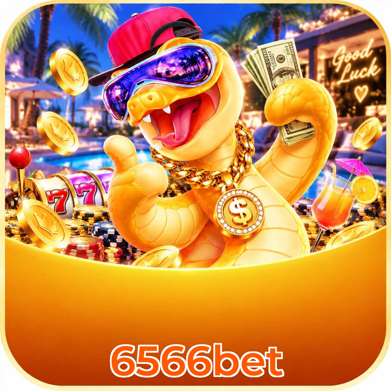6566bet Live Casino Overview