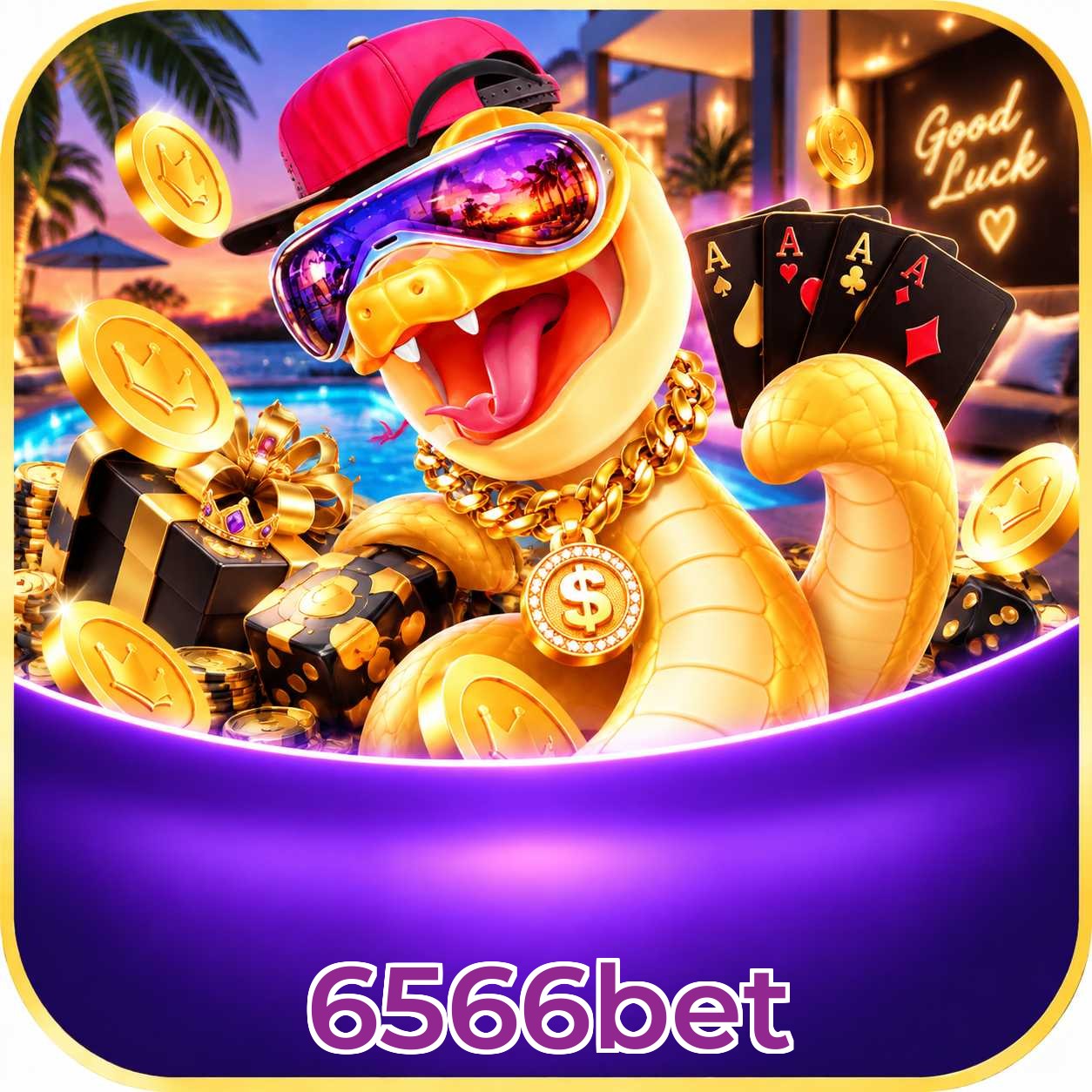 6566bet Bet Odds Analysis
