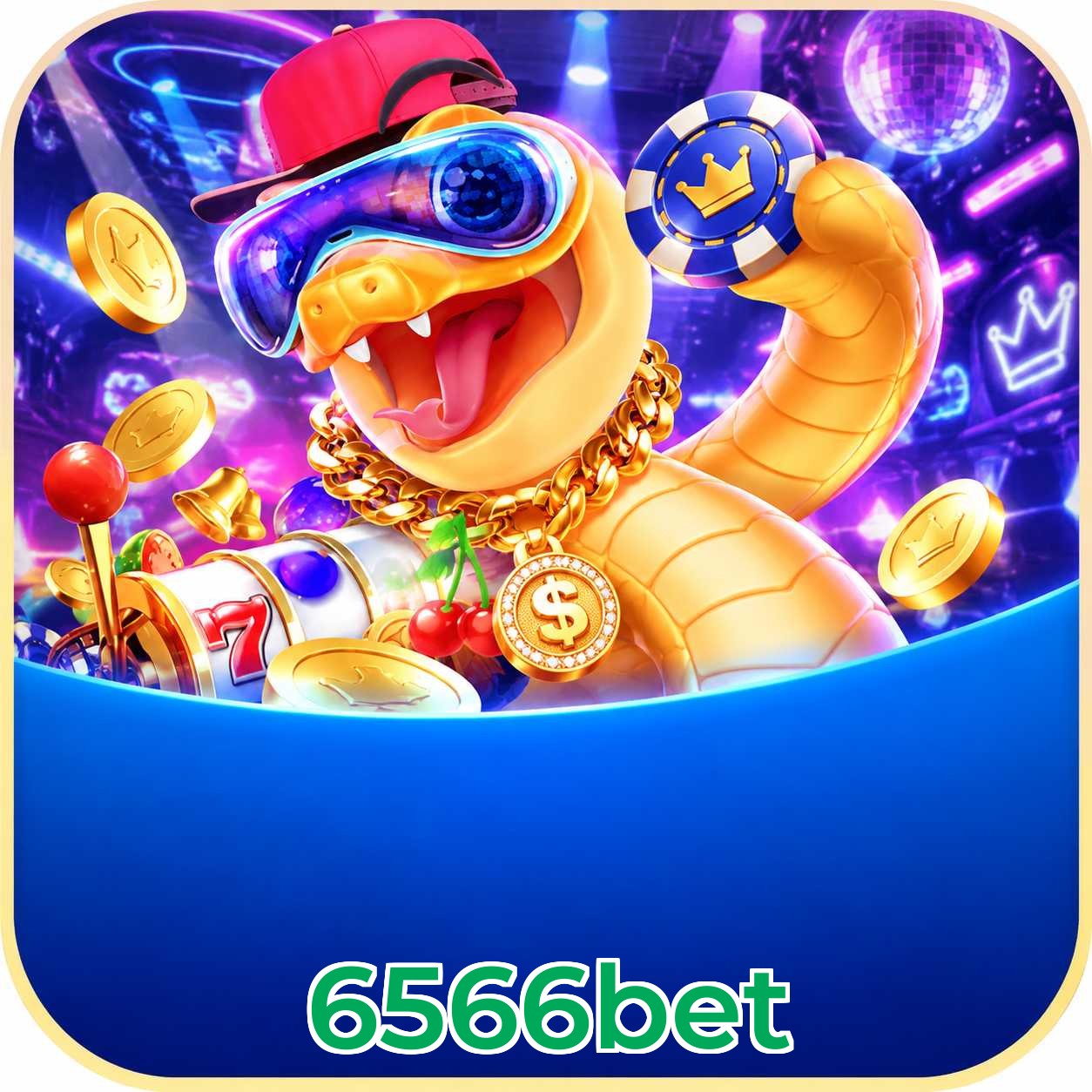 6566bet Performance